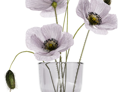 Bouquet Of Purple Flowers Icelandic Poppy 456 3D Model