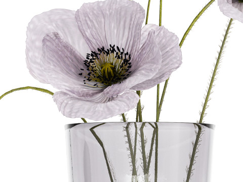 Bouquet Of Purple Flowers Icelandic Poppy 456 3D Model