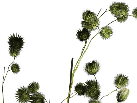 Bouquet Of White Wild Flowers Poppy Thistle Vase 457 3D Model