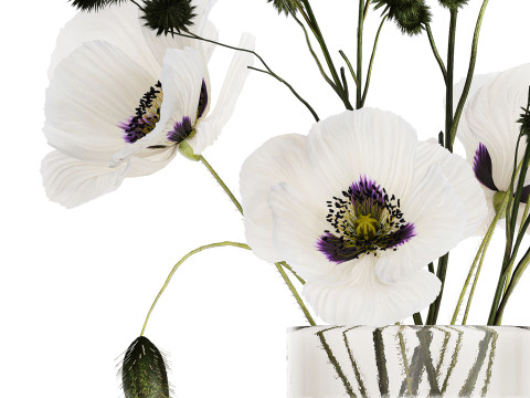 Bouquet Of White Wild Flowers Poppy Thistle Vase 457 3D Model