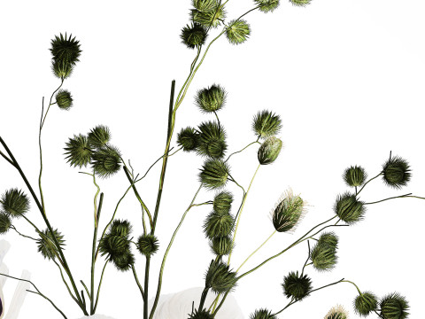 Bouquet Of White Wild Flowers Poppy Thistle Vase 457 3D Model