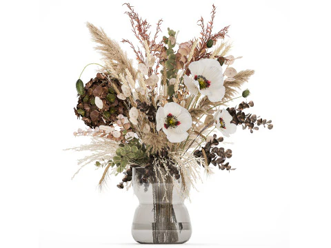 Dried Flowers Hydrangea Pampas Branches Poppy 458 3D Model