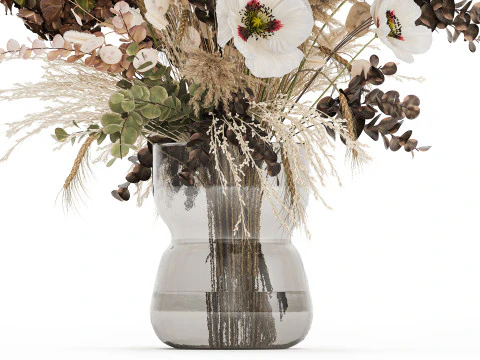 Dried Flowers Hydrangea Pampas Branches Poppy 458 3D Model