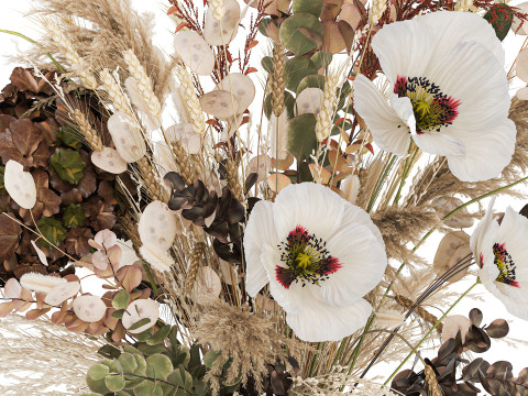 Dried Flowers Hydrangea Pampas Branches Poppy 458 3Dモデル