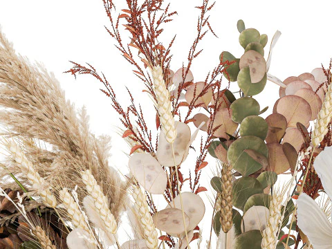 Dried Flowers Hydrangea Pampas Branches Poppy 458 3D Model