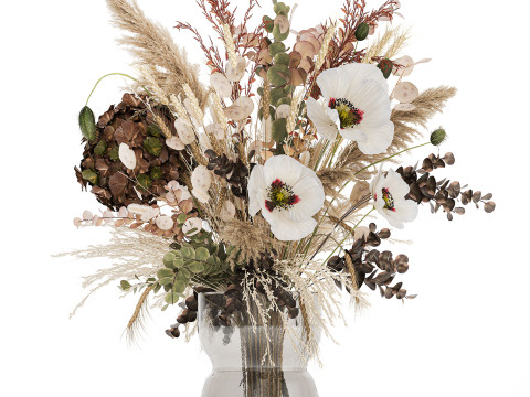 Dried Flowers Hydrangea Pampas Branches Poppy 458 3Dモデル