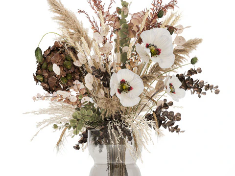 Dried Flowers Hydrangea Pampas Branches Poppy 458 3D Model
