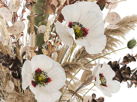 Dried Flowers Hydrangea Pampas Branches Poppy 458 3D Model