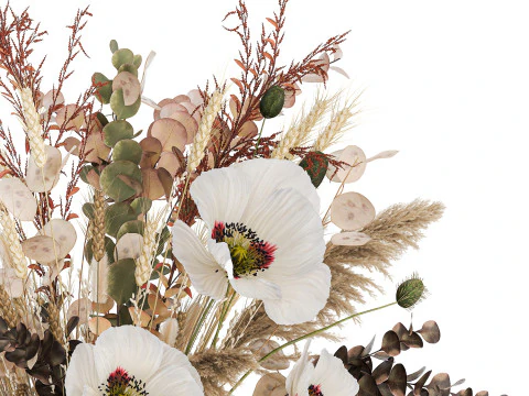 Dried Flowers Hydrangea Pampas Branches Poppy 458 3D Model