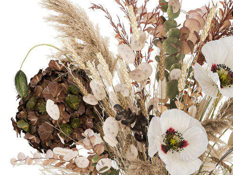 Dried Flowers Hydrangea Pampas Branches Poppy 458 3D Model