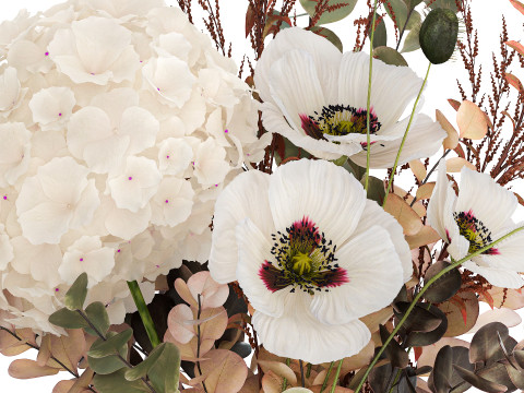 Bouquet Of Dried Flowers Poppy Hydrangea Barberry 460 3Dモデル