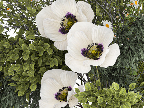 Bouquet Of Branches Green Leaves Poppy Flowers 462 3D Model