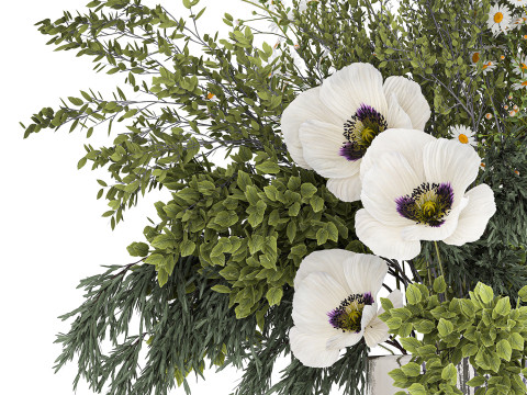 Bouquet Of Branches Green Leaves Poppy Flowers 462 3D Model