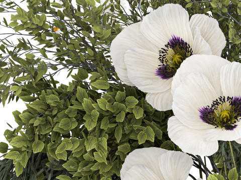 Bouquet Of Branches Green Leaves Poppy Flowers 462 3D Model