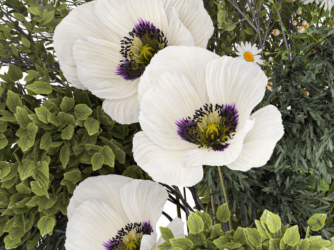 Bouquet Of Branches Green Leaves Poppy Flowers 462 3D Model