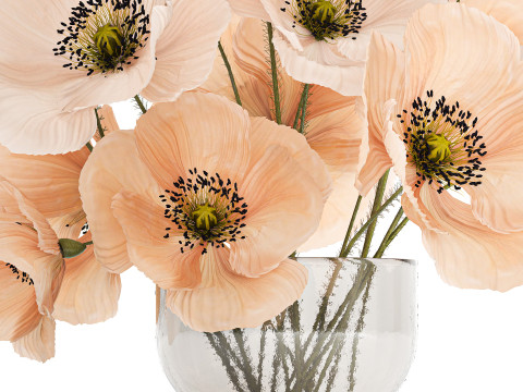 Beautiful Bouquet Of Wild Flowers Poppy Vase 463 Modelo 3D