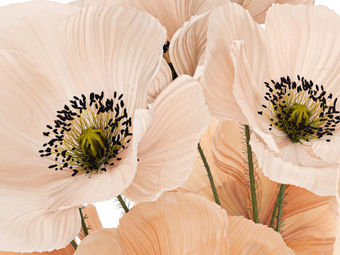 Beautiful Bouquet Of Wild Flowers Poppy Vase 463 Modelo 3D