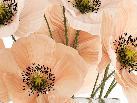 Beautiful Bouquet Of Wild Flowers Poppy Vase 463 Modelo 3D