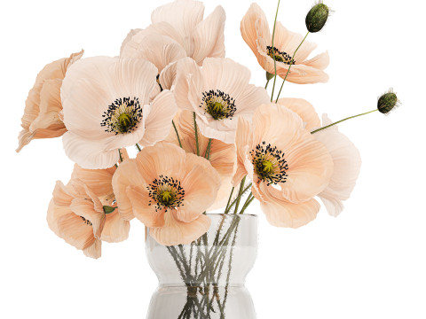Beautiful Bouquet Of Wild Flowers Poppy Vase 463 Modelo 3D