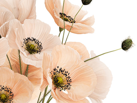 Beautiful Bouquet Of Wild Flowers Poppy Vase 463 Modelo 3D
