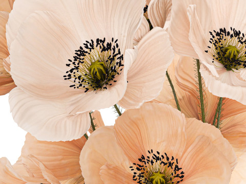 Beautiful Bouquet Of Wild Flowers Poppy Vase 463 Modelo 3D