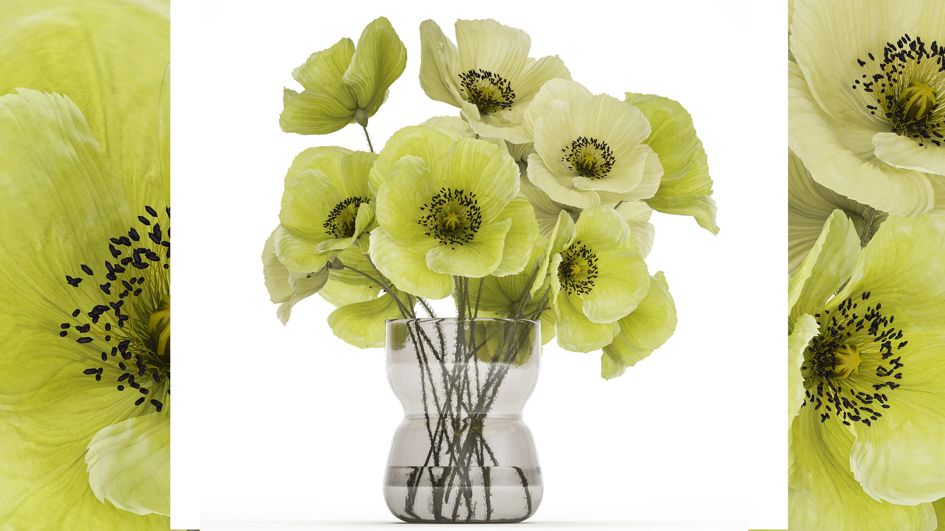 Bouquet Of Green Wild Flowers Poppy Vase 464 3D Model .c4d .max .obj .3ds .fbx .stl .blend 