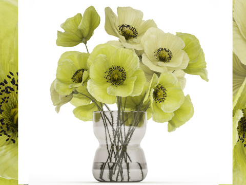 Bouquet Of Green Wild Flowers Poppy Vase 464 3D Model