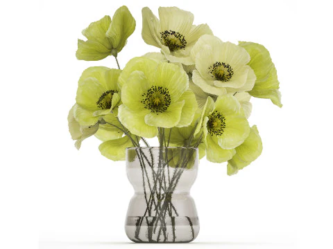 Bouquet Of Green Wild Flowers Poppy Vase 464 3D Model