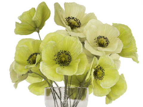 Bouquet Of Green Wild Flowers Poppy Vase 464 3D Model