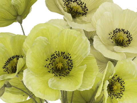 Bouquet Of Green Wild Flowers Poppy Vase 464 3D Model