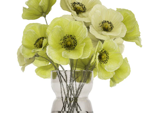 Bouquet Of Green Wild Flowers Poppy Vase 464 3D Model