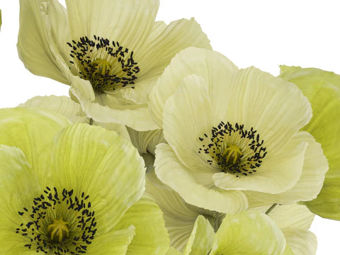 Bouquet Of Green Wild Flowers Poppy Vase 464 3D Model