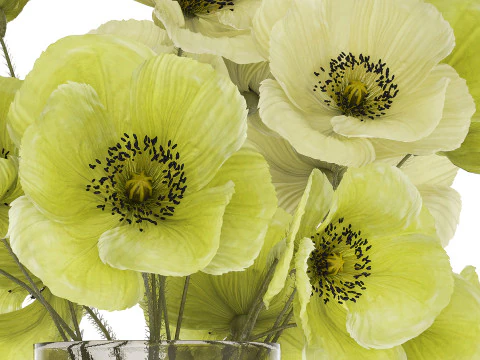 Bouquet Of Green Wild Flowers Poppy Vase 464 3D Model