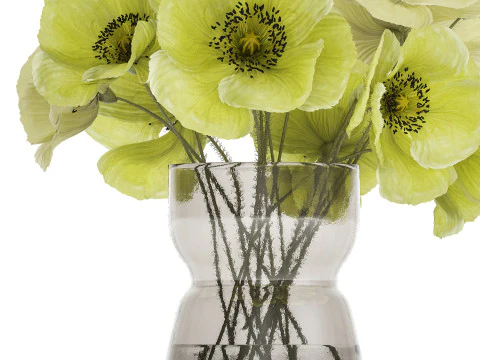 Bouquet Of Green Wild Flowers Poppy Vase 464 3D Model