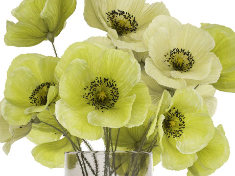 Bouquet Of Green Wild Flowers Poppy Vase 464 3D Model