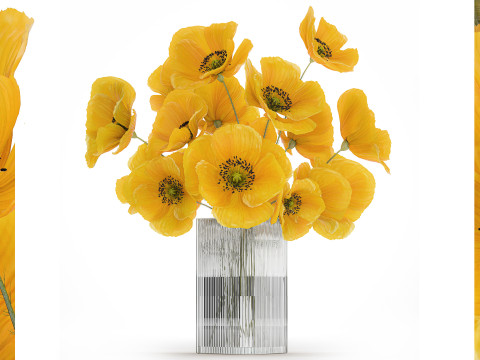 Bouquet Of Yellow Wild Flowers Poppy Glass Vase 465 3Dモデル