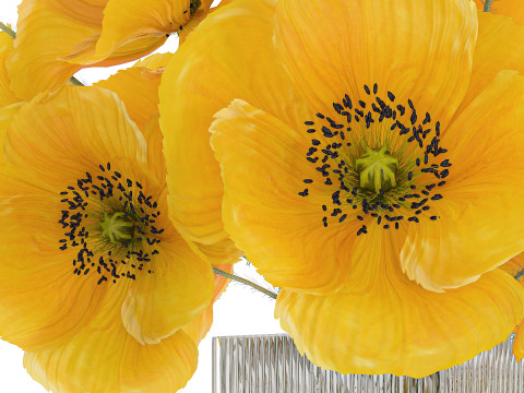 Bouquet Of Yellow Wild Flowers Poppy Glass Vase 465 3D Model