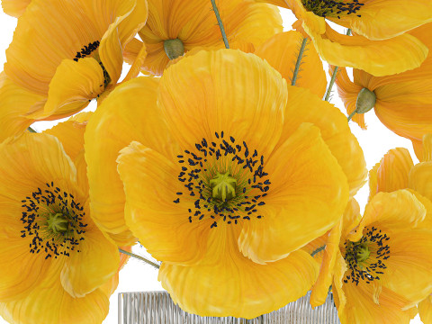 Bouquet Of Yellow Wild Flowers Poppy Glass Vase 465 3D Model