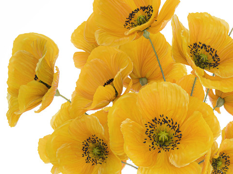 Bouquet Of Yellow Wild Flowers Poppy Glass Vase 465 3D Model