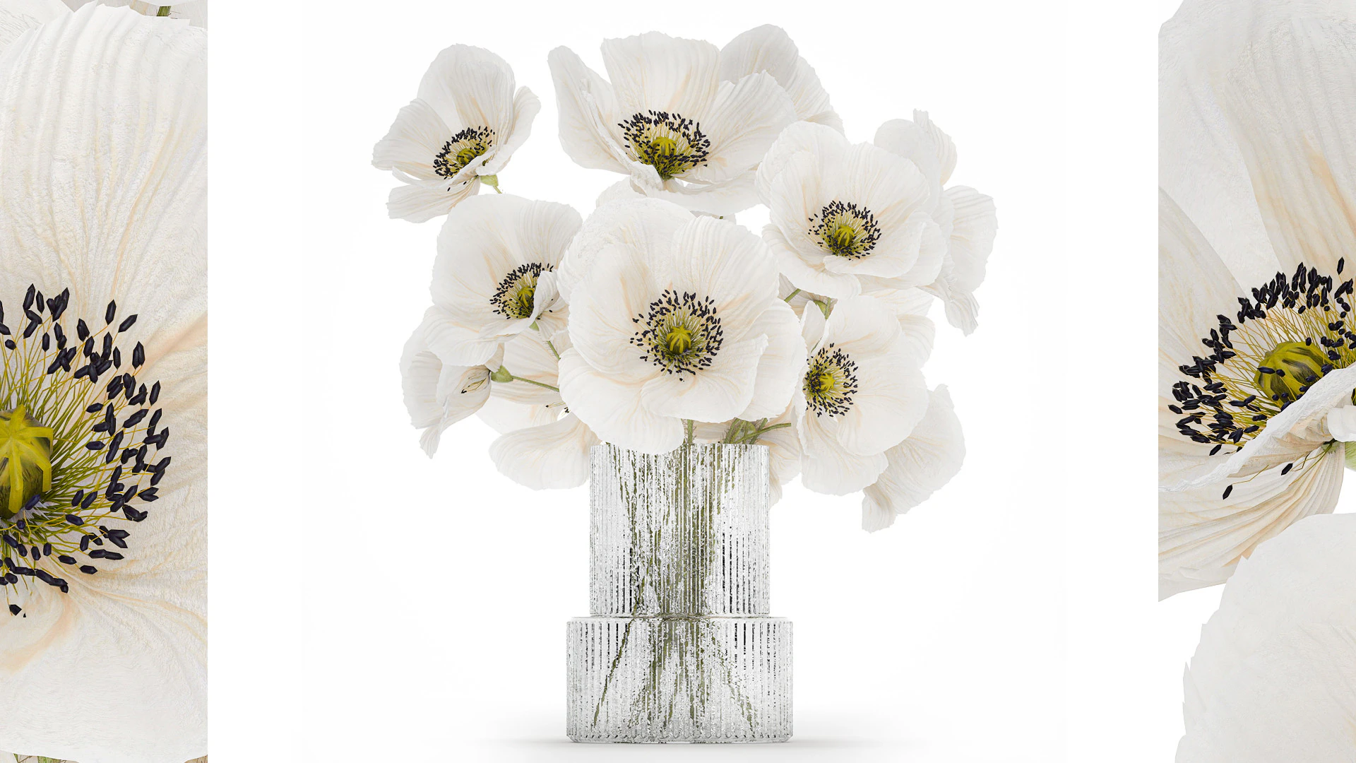 Beautiful Bouquet Of White Wild Flowers Poppy 466 3D Model .c4d .max .obj .3ds .fbx .stl .blend 