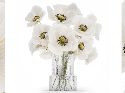 Beautiful Bouquet Of White Wild Flowers Poppy 466 3D Model