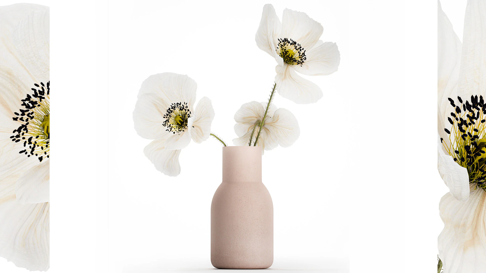 Beautiful Bouquet Of White Wild Flowers Poppy 467 3D Model .c4d .max .obj .3ds .fbx .stl .blend 