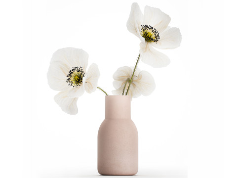 Beautiful Bouquet Of White Wild Flowers Poppy 467 Model 3D