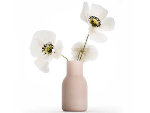 Beautiful Bouquet Of White Wild Flowers Poppy 467 Modello 3D