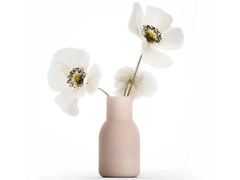 Beautiful Bouquet Of White Wild Flowers Poppy 467 3D Model