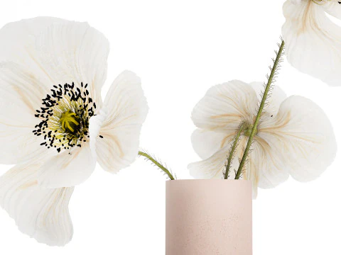 Beautiful Bouquet Of White Wild Flowers Poppy 467 3D Model