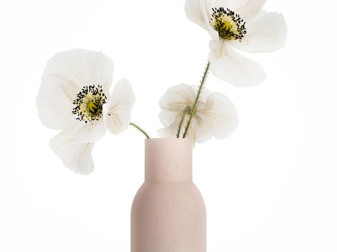Beautiful Bouquet Of White Wild Flowers Poppy 467 3D Model
