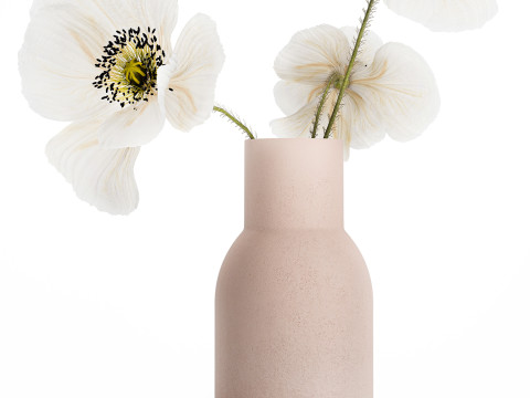 Beautiful Bouquet Of White Wild Flowers Poppy 467 Modello 3D