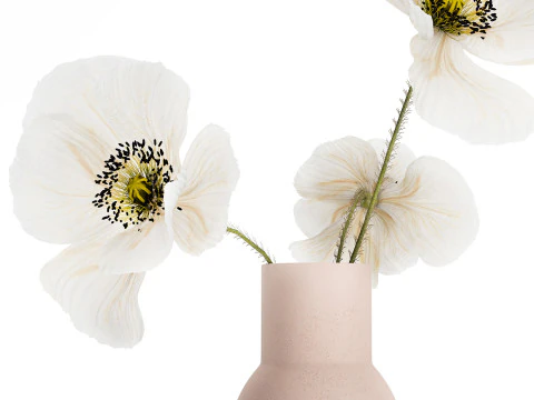 Beautiful Bouquet Of White Wild Flowers Poppy 467 3D Model