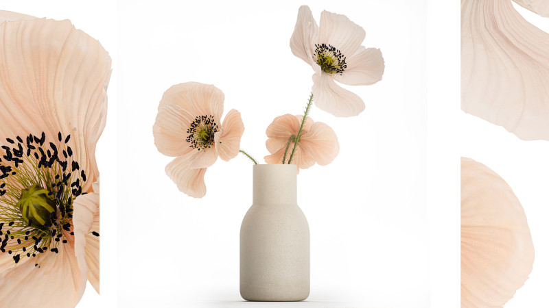 Beautiful Bouquet Of Beautiful Wild Flowers Poppy 468 3D मॉडल .c4d .max .obj .3ds .fbx .stl .blend